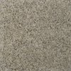 Msi Giallo Fantasia SAMPLE Polished Granite Floor And Wall Tile ZOR-NS-0070-SAM